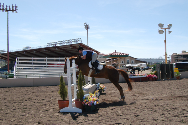 Cowboy at DelMar sale spring 2006